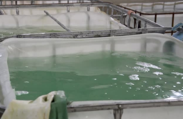 Product focus - Popular Alloys for the Power Generation